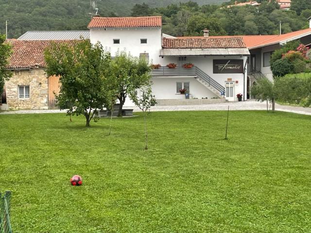 דירות ויפאבה Kmetija Tomazic Vinska Klet - Winery מראה חיצוני תמונה