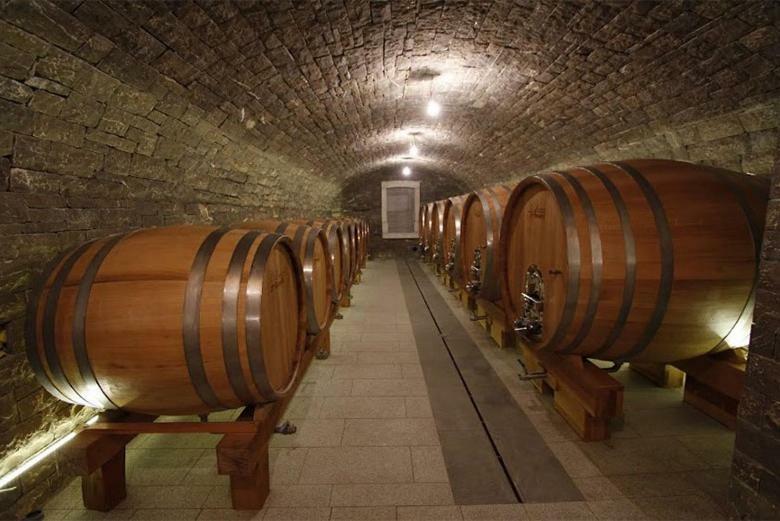 דירות ויפאבה Kmetija Tomazic Vinska Klet - Winery מראה חיצוני תמונה