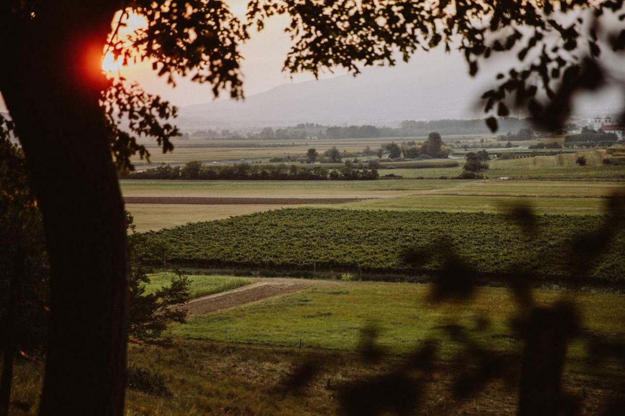 דירות ויפאבה Kmetija Tomazic Vinska Klet - Winery מראה חיצוני תמונה